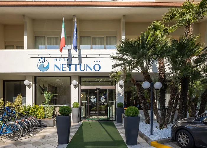 Nettuno ברדולינו